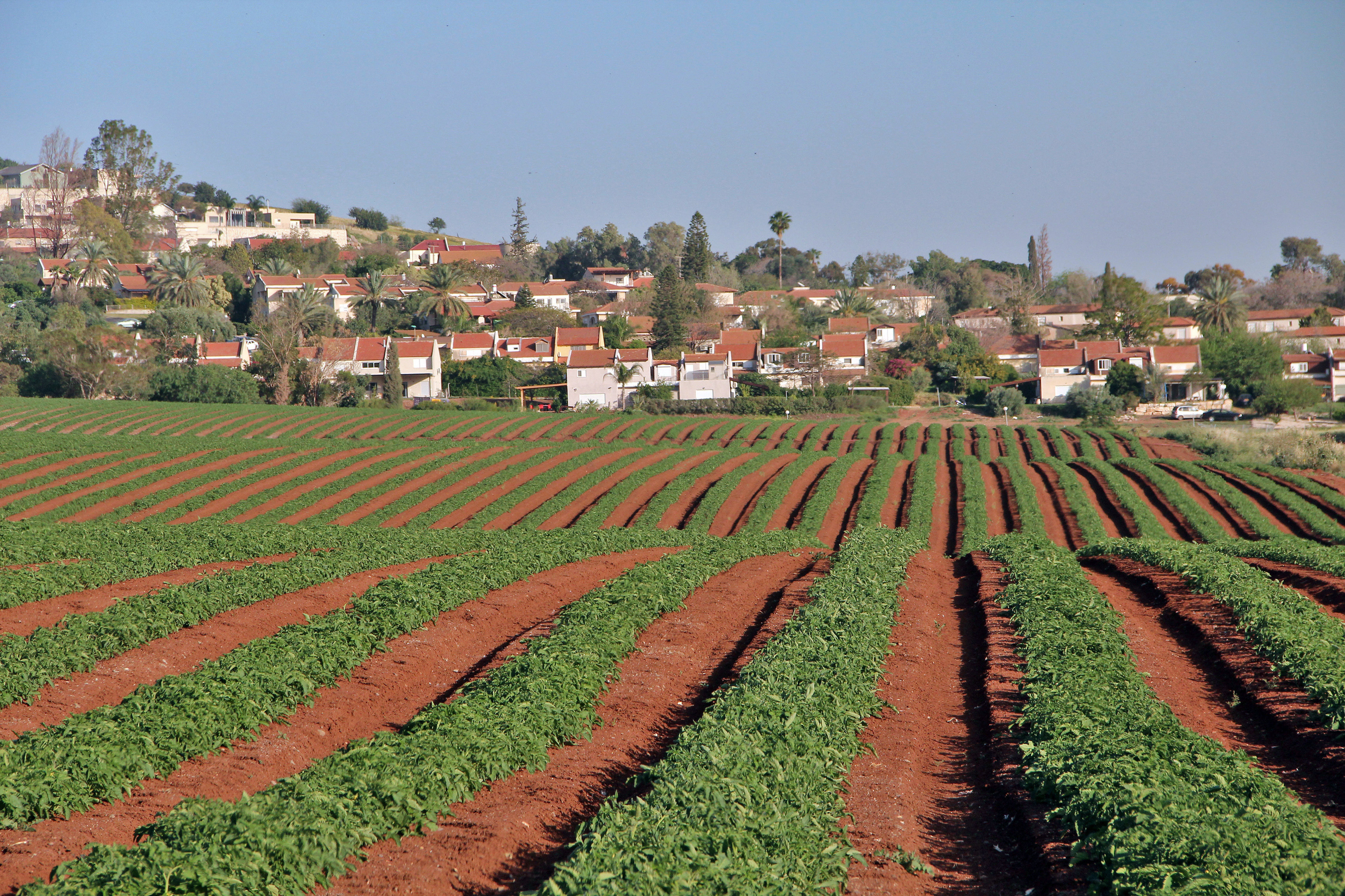 Kibbutz